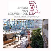 Antoni van Leeuwenhoek  Amsterdam October 2016-Januari 2017